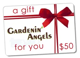 Gardenin’ Angels $50 gift certificate with a red ribbon