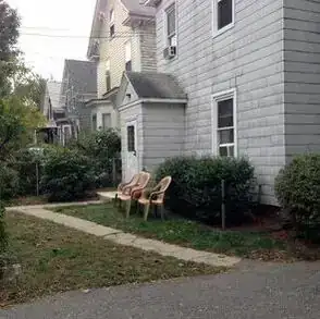 Overgrown side yard before the renovation